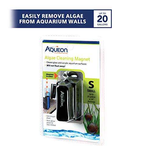 Aqueon Small Black Aquarium Algae Cleansing Magnets for Glass/Acrylic