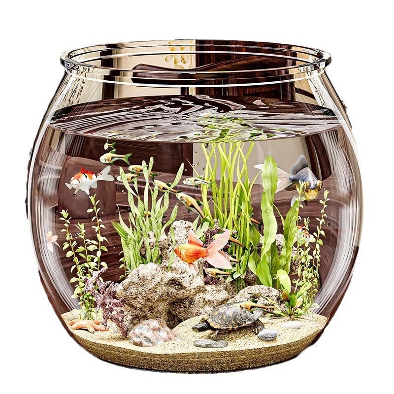 Clear Plastic Mini Fish and Turtle Tank – Ornamental Desktop Eco Aquarium for Workplace Use – Wholesale Out there