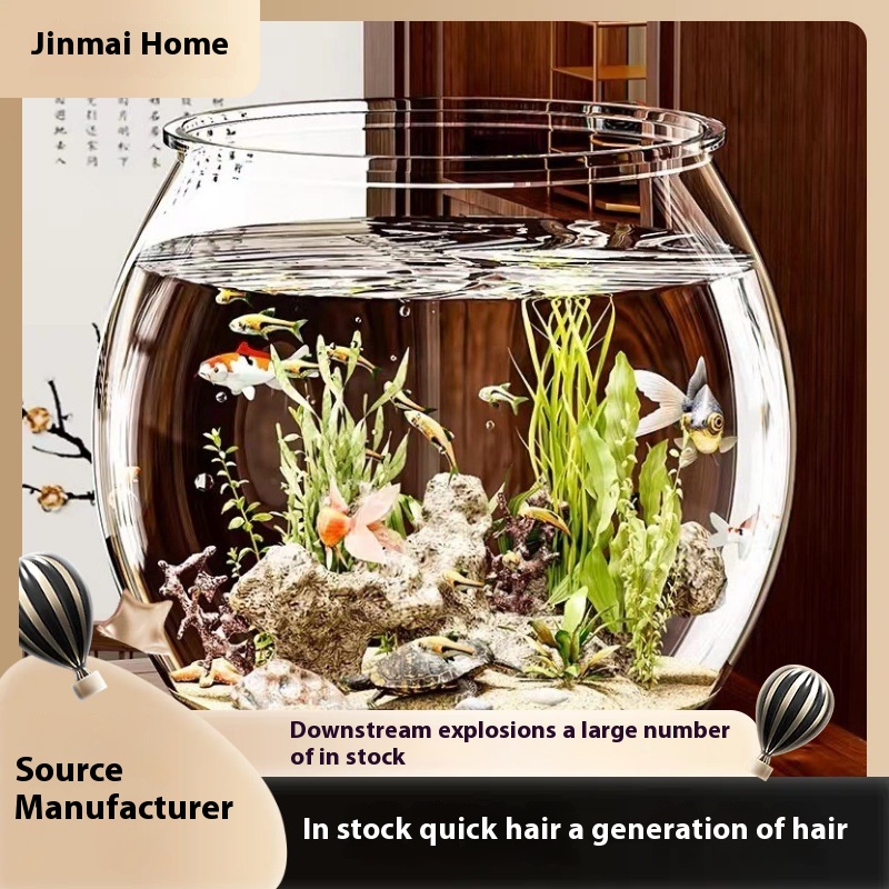 Clear Plastic Mini Fish and Turtle Tank - Ornamental Desktop Eco Aquarium for Workplace Use - Wholesale Out there